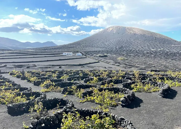 Wine Lovers In Puerto Del Carmen