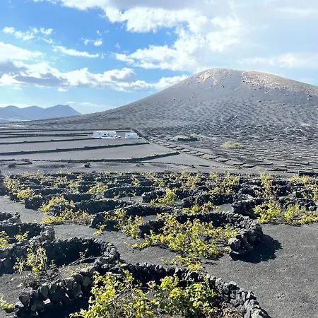 Wine Lovers In Puerto Del Carmen